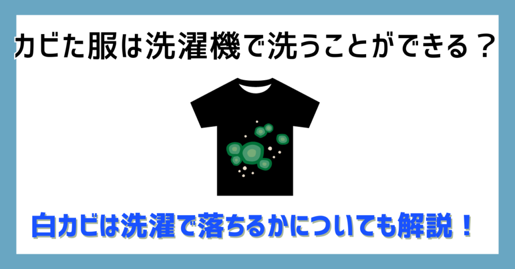 カビた服は洗濯機で洗うことができる？白カビは洗濯で落ちるかについても解説！